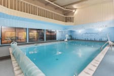 Indoor swimming pool with blue walls, aquatic murals, and large windows.