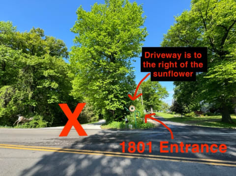 View of the 1801 entrance with a sunflower sign and road markings in a natural setting.