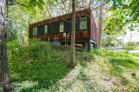 A contemporary house elevated on pillars amidst green foliage and trees.