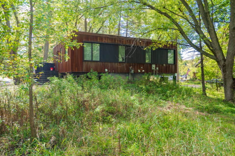 A contemporary wooden home surrounded by greenery and trees.