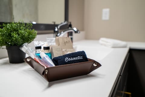 Bathroom countertop with a brown leather tray containing toiletries and a small potted plant.