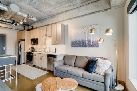 Modern apartment interior with kitchen and living area, gray sofa, and art decor.