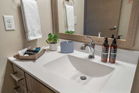 Bathroom countertop featuring a sink, toiletries, and a potted plant.