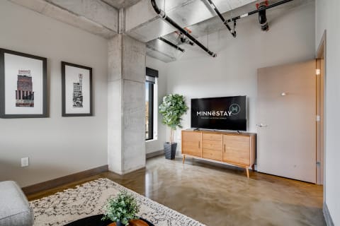 Modern living room with framed artwork, a TV, and a potted plant.